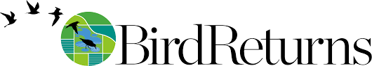 BirdReturns logo