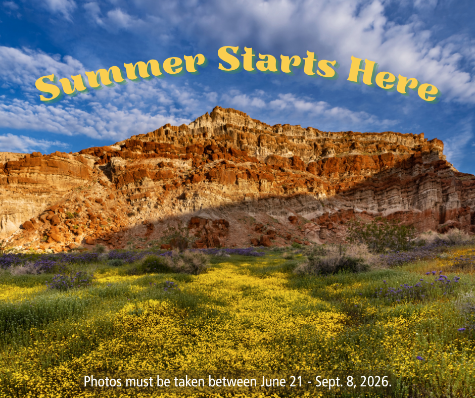 Summer Starts Here Photo Contest Graphic Red Rock Canyon State Park