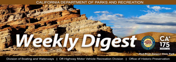 Weekly Digest Summer CA-175 Masthead