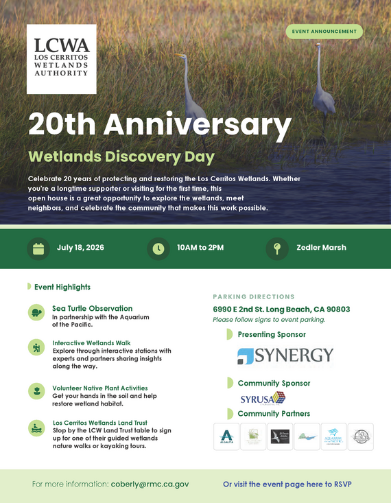 Event Flyer