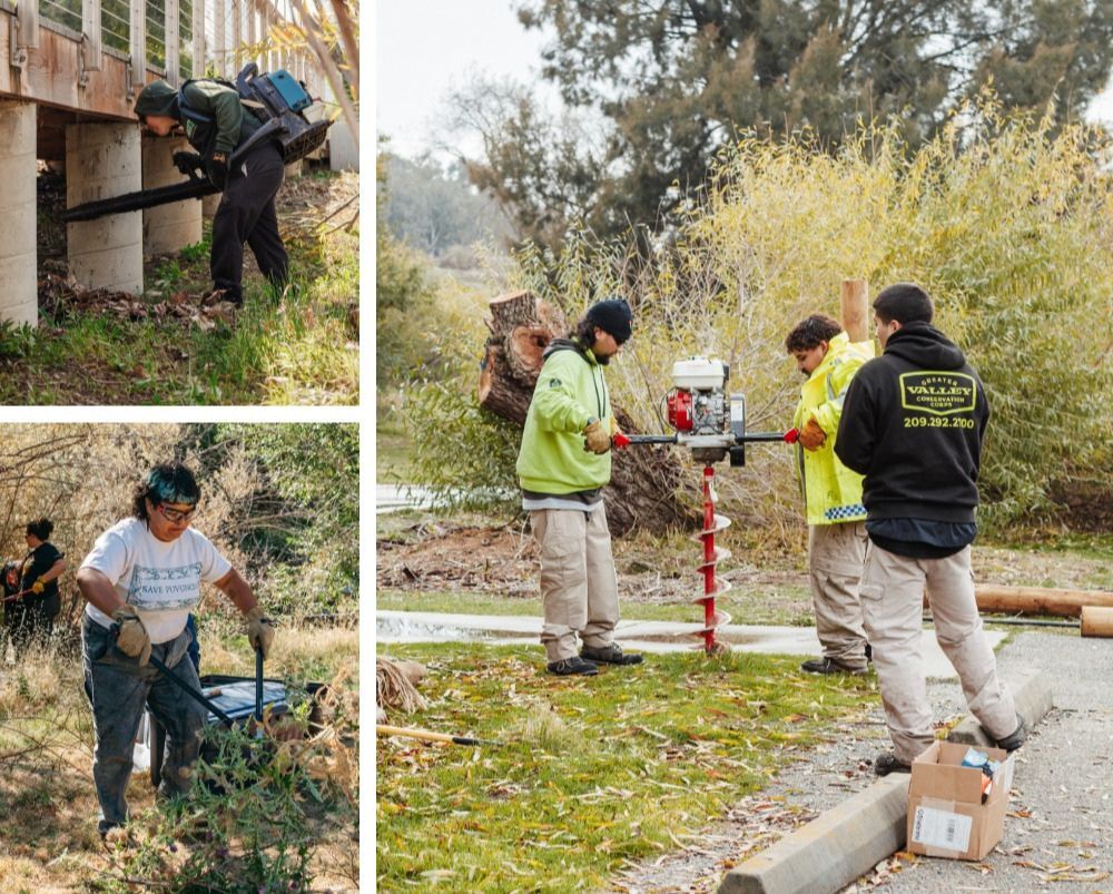 People working in parks