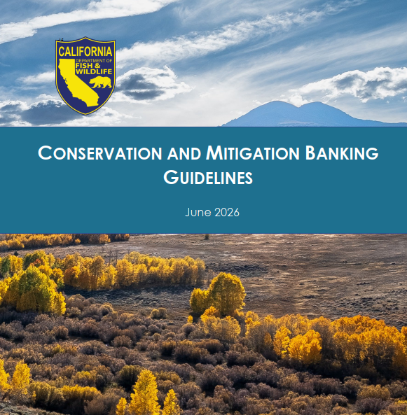 Banking Guidelines Cover