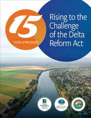 report cover