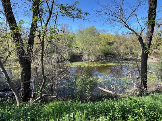 View of the American River from the Howe Avenue river access point.