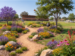 Site Rendering
