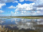 Colorado River Delta