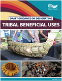 Tribal Beneficial Uses
