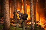 Sierra wildfire