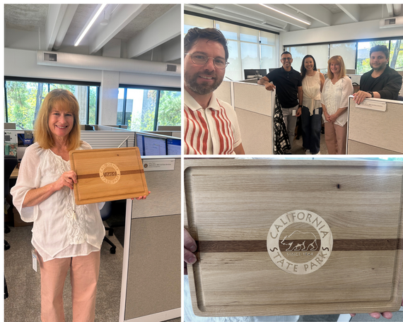 Kelly Thorn's last day collage 