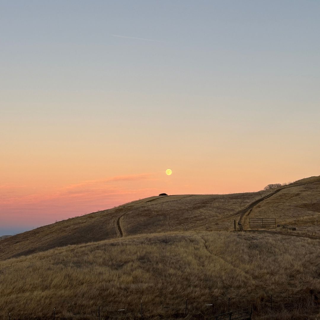 Harvest moon