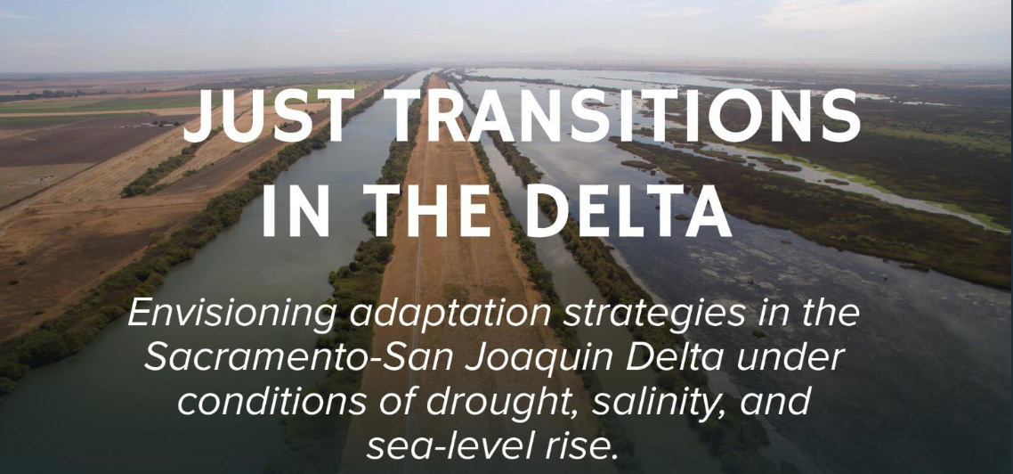 Just Transitions in the Delta website screenshot