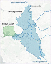 Suisun Marsh