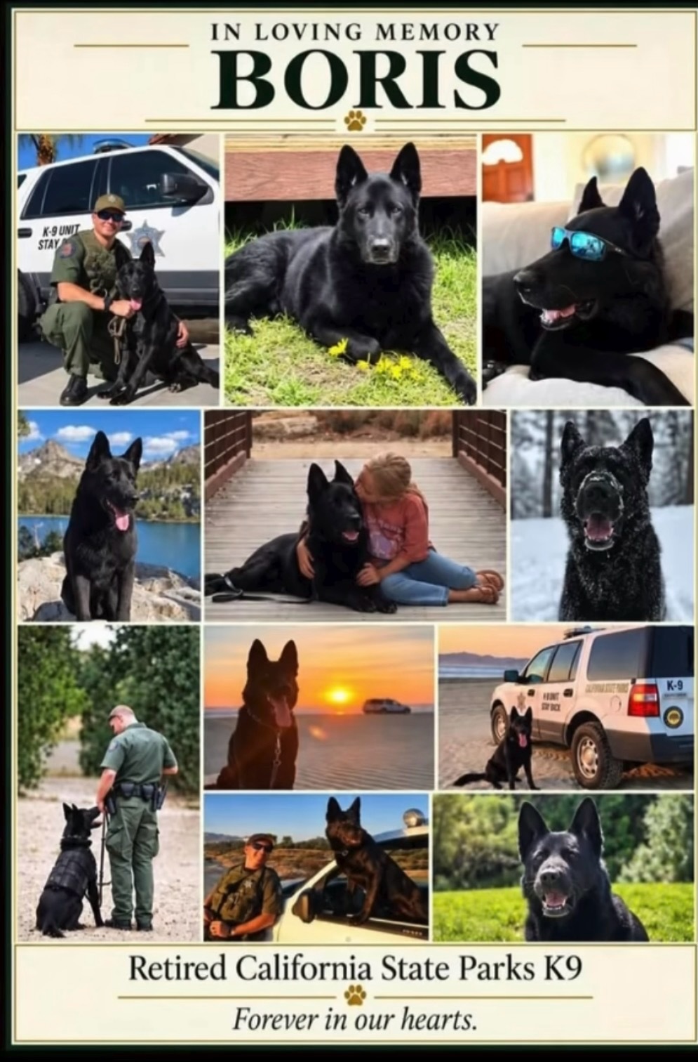 K-9 Boris collage