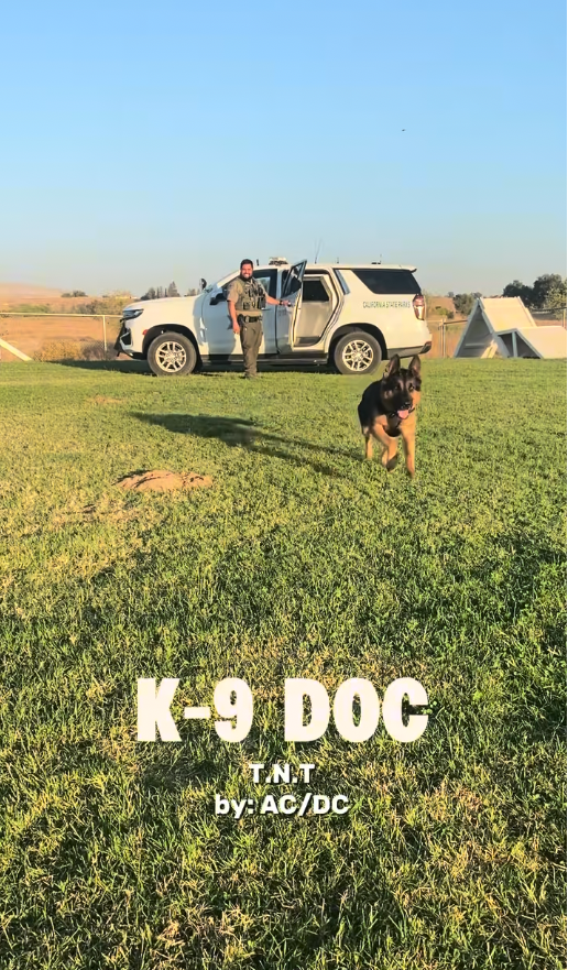 screenshot of K-9 Doc at Millerton Lake