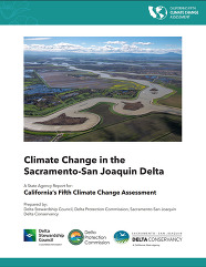 report cover