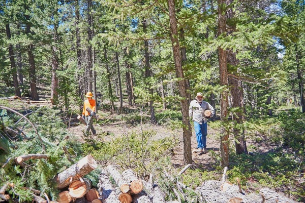 Volunteers clear cut logs and slash during a wildfire mitigation project for Robert and Jean Williams.