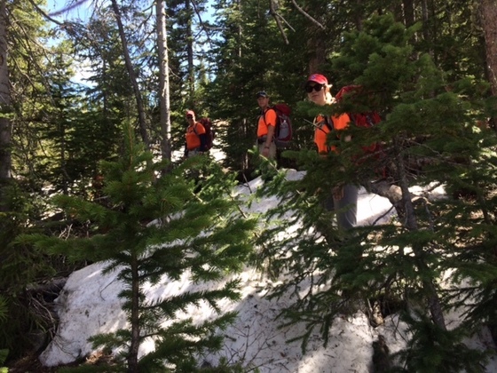 Line search during human remains search