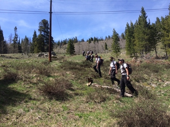 Line search during human remains search
