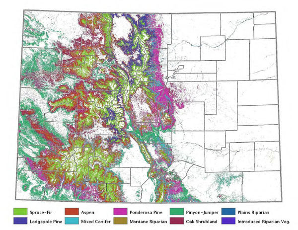 Colorado Forest Map