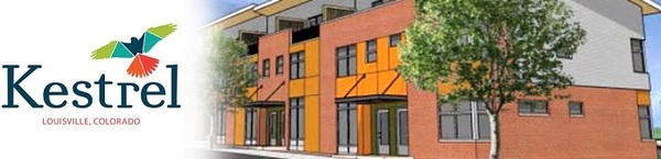 Kestrel logo and drawing