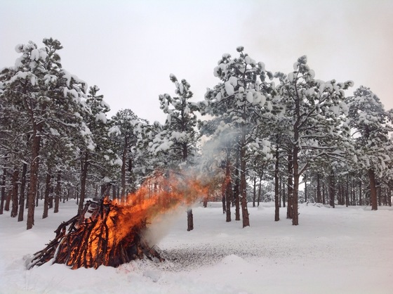 Burning wood slash pile