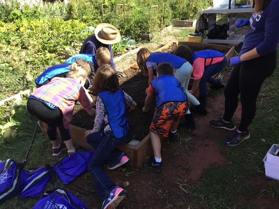 Children learning about gardens