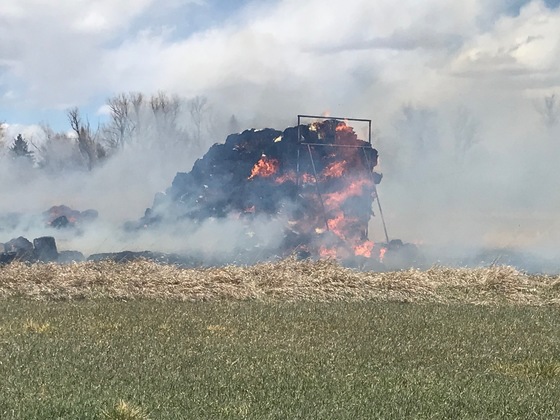Grass Fire