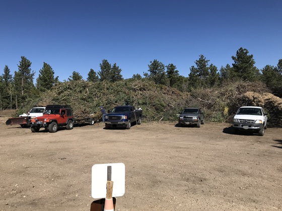 Cars at sort yard