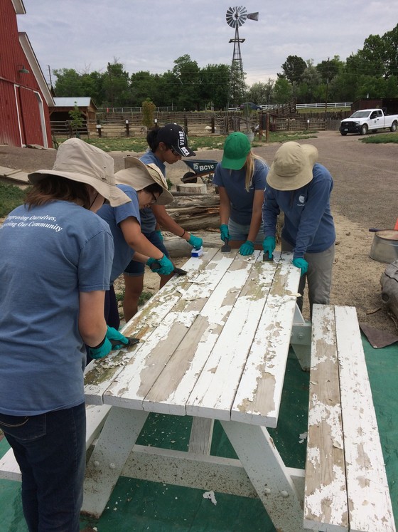 Corpsmembers Scraping a Picnic Table at the Ag Heritage Center