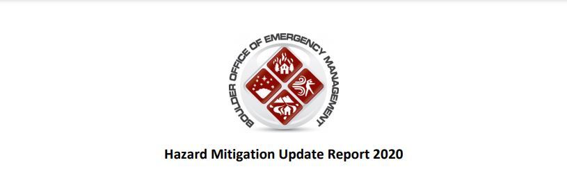 Heading of Hazard Mitigation Update Report 2020