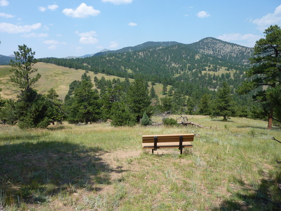 Betasso Preserve bench on Canyon Loop