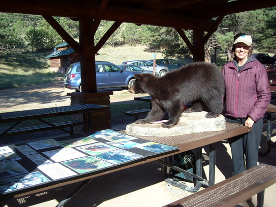 Bear program at Heil Valley Ranch