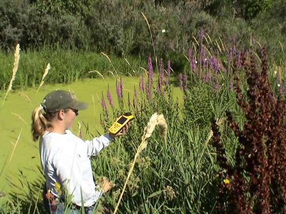 Woman Mapping Weeds with GPS tool