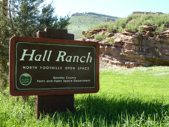 Hall Ranch Entry Sign