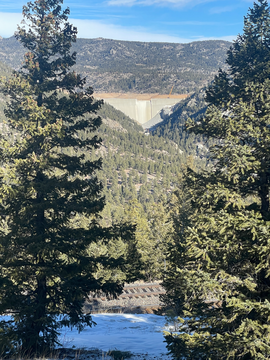 Gross Dam face from a distance showing evergreen trees in forefront