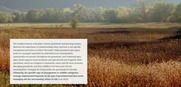 Dry field with text over the picture