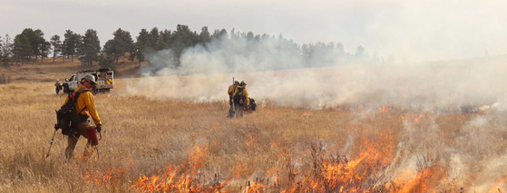 Wildfire mitigation in a meadow