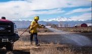 Firefighter putting out a grass fire