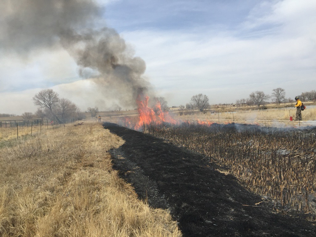 Fire crews burn a ditch to improve water delivery