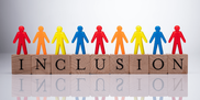 inclusion