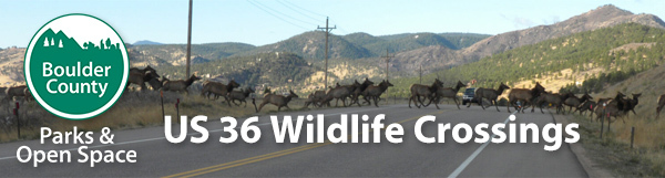 US 36 Wildlife Crossings