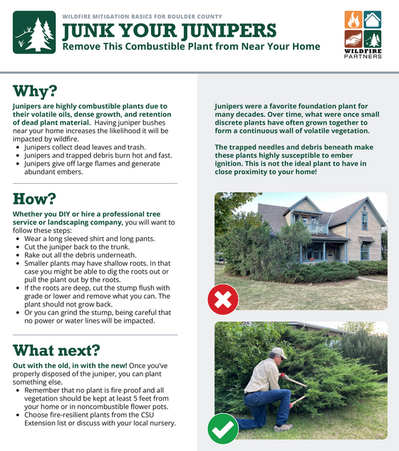Junk Your Junipers factsheet