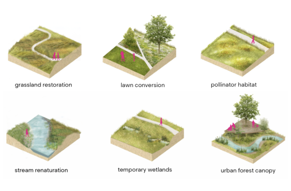 Examples of nature-based landscaping and design solutions