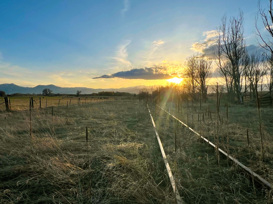 BERT trail corridor looking west into the sunset and mountains