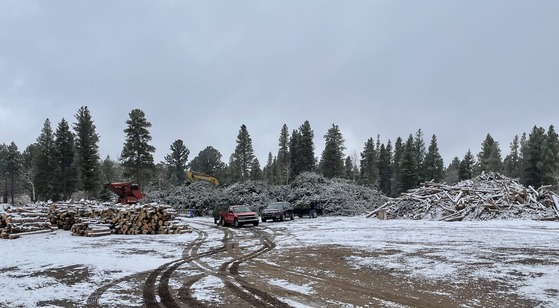 Meeker Park Sort Yard