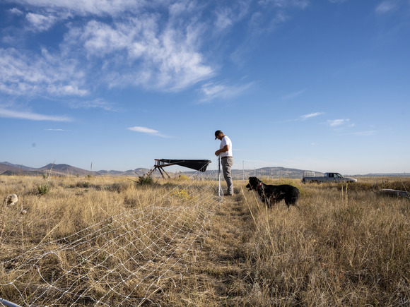 Eric Knutson of Wild Nectar Farm installing a portable solar-powered electric fence for rotational grazing.