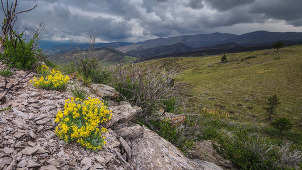 a photo of boulder county open space