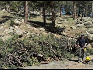 Community Chipping slash pile