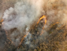 Wildfire smoke