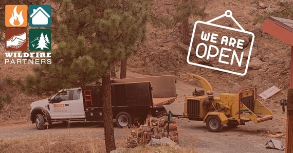 Chipping Program Re-Opens